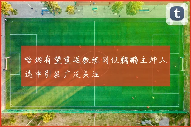 哈姆有望重返教练岗位鹈鹕主帅人选中引发广泛关注