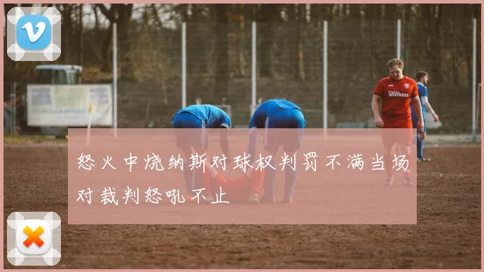 怒火中烧纳斯对球权判罚不满当场对裁判怒吼不止