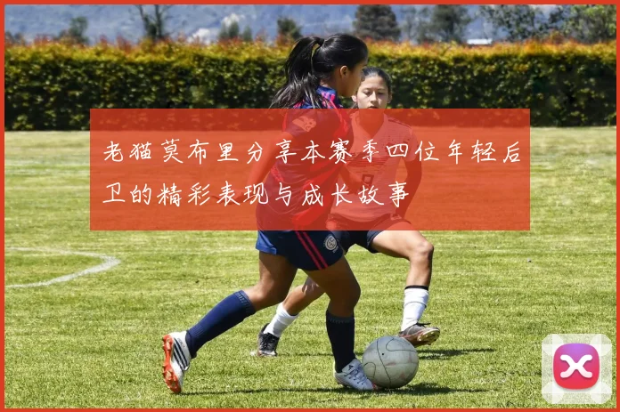 老猫莫布里分享本赛季四位年轻后卫的精彩表现与成长故事