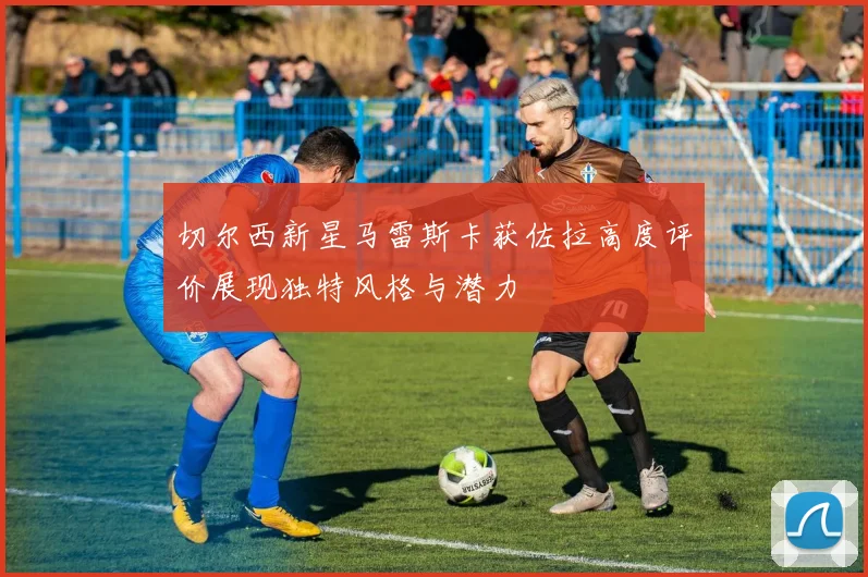 切尔西新星马雷斯卡获佐拉高度评价展现独特风格与潜力